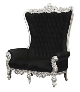 Throne Chair – Lazarus Double Chair - Silver Frame upholstered in Plush Black Velvet