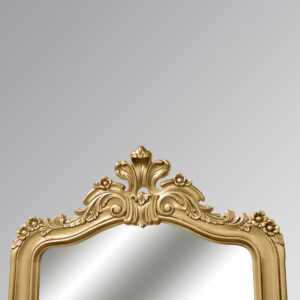 Louis XV Laura Floor Mirror in Gold Leaf